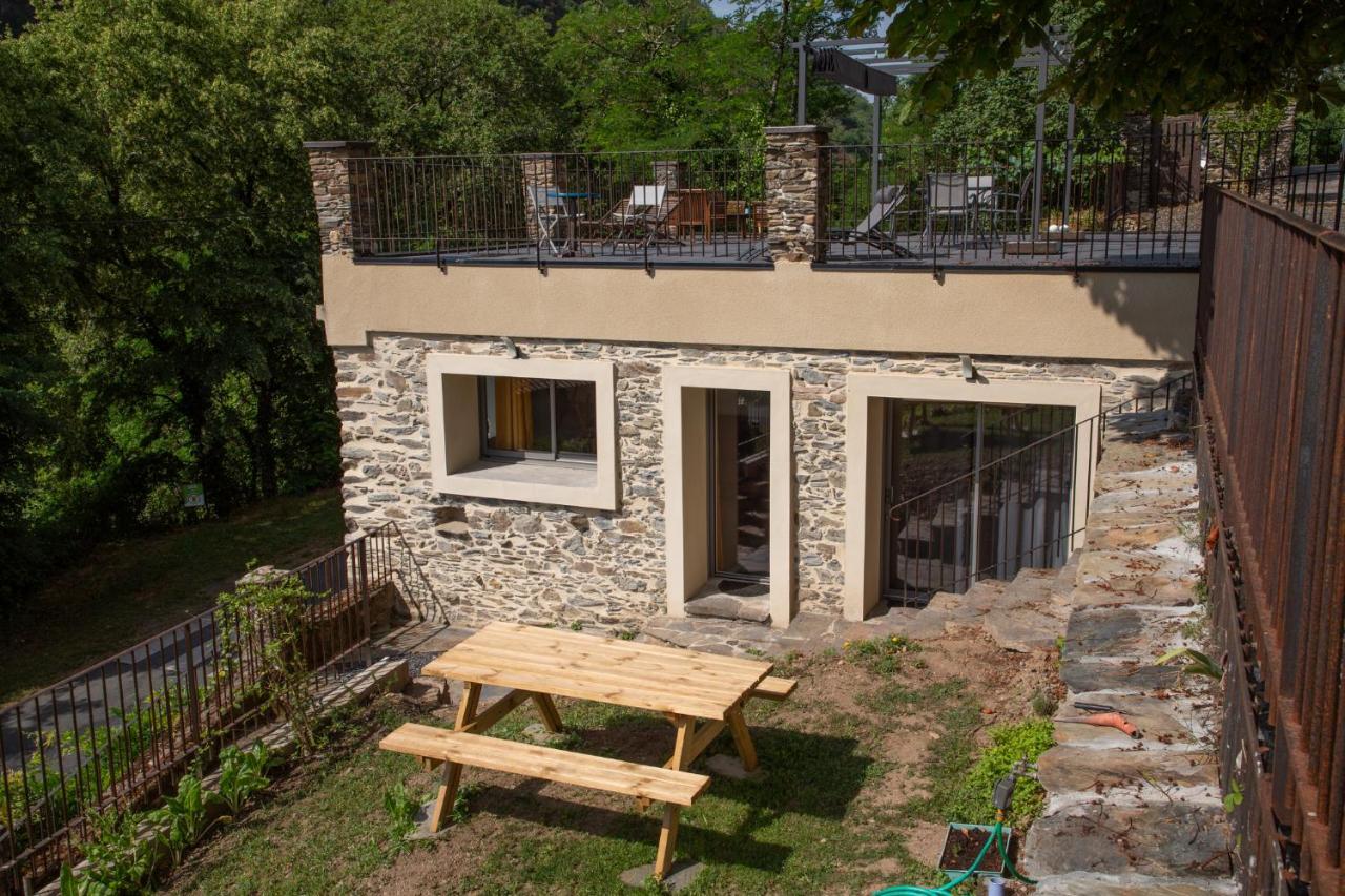 Appartement - Gite De La Moulinquie Saint-Cirgue 外观 照片