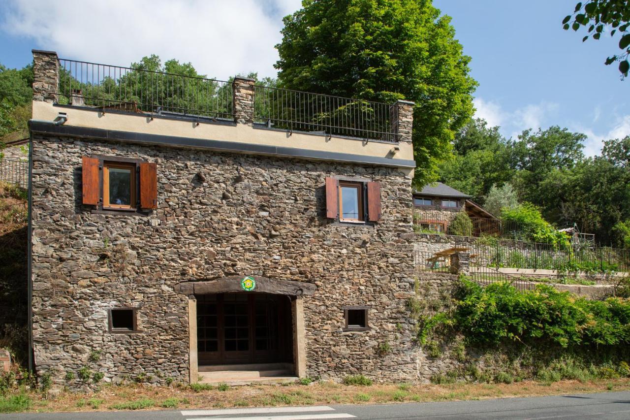 Appartement - Gite De La Moulinquie Saint-Cirgue 外观 照片